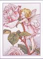 06_The rose fairy